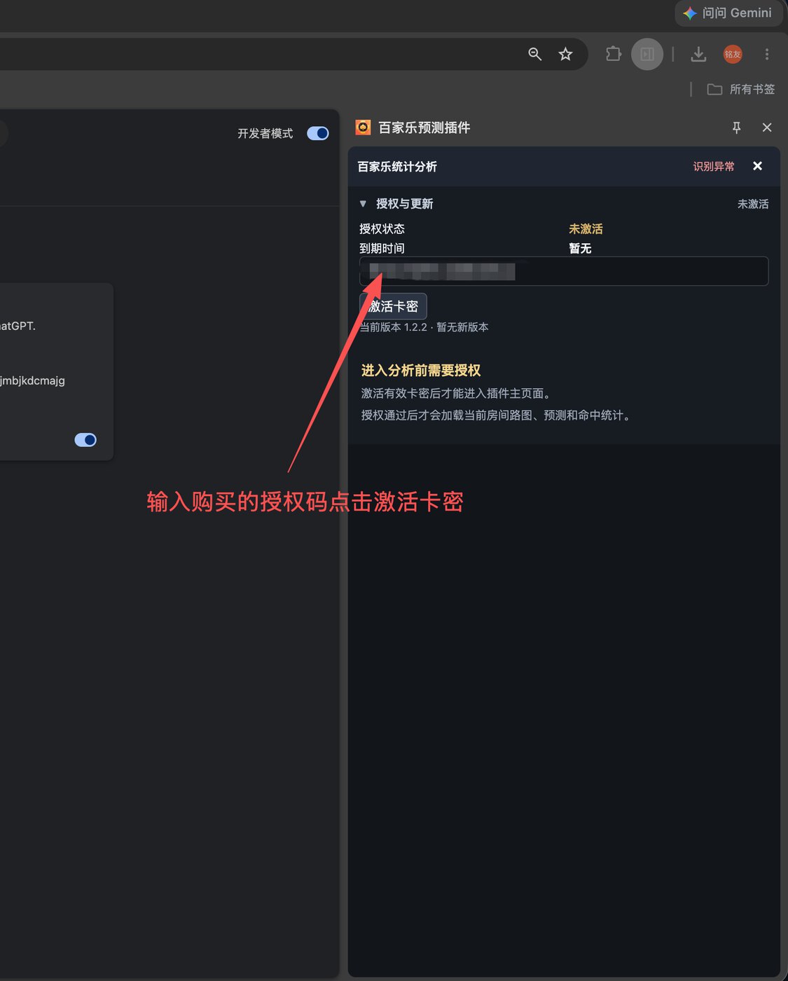 Screenshot of activating a masked license key in the extension side panel